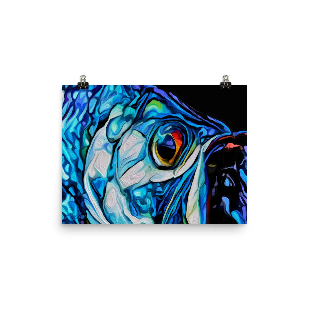 Big Eye